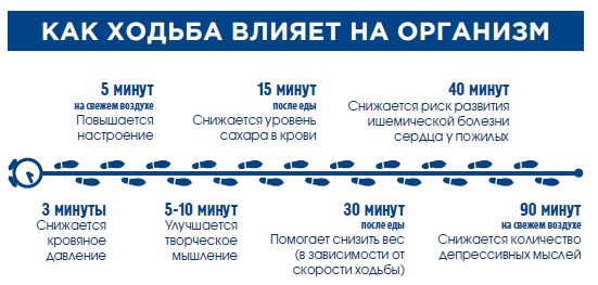 как ходьба влияет на организм